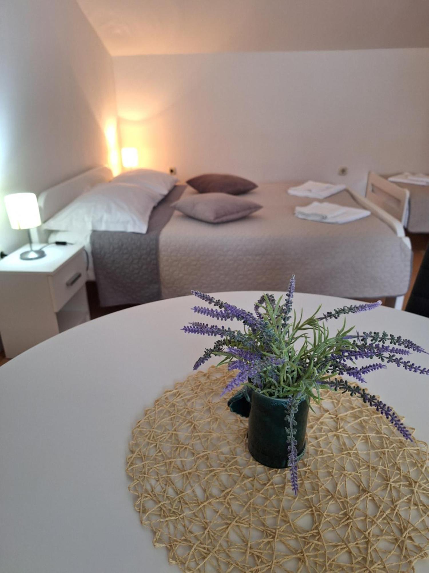 Apartments Kozjan คาร์โลวัตส์ ภายนอก รูปภาพ